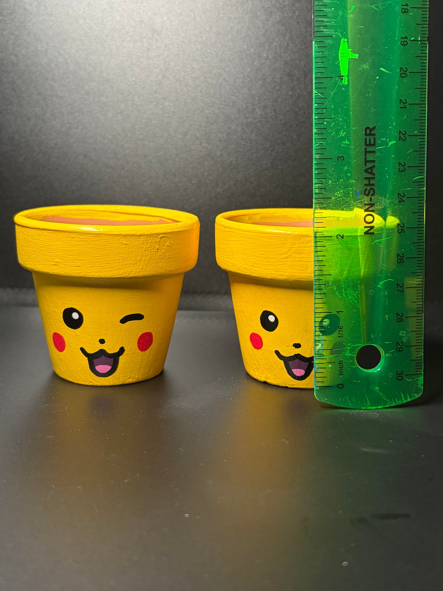 Hand Painted Flower Pots Medium