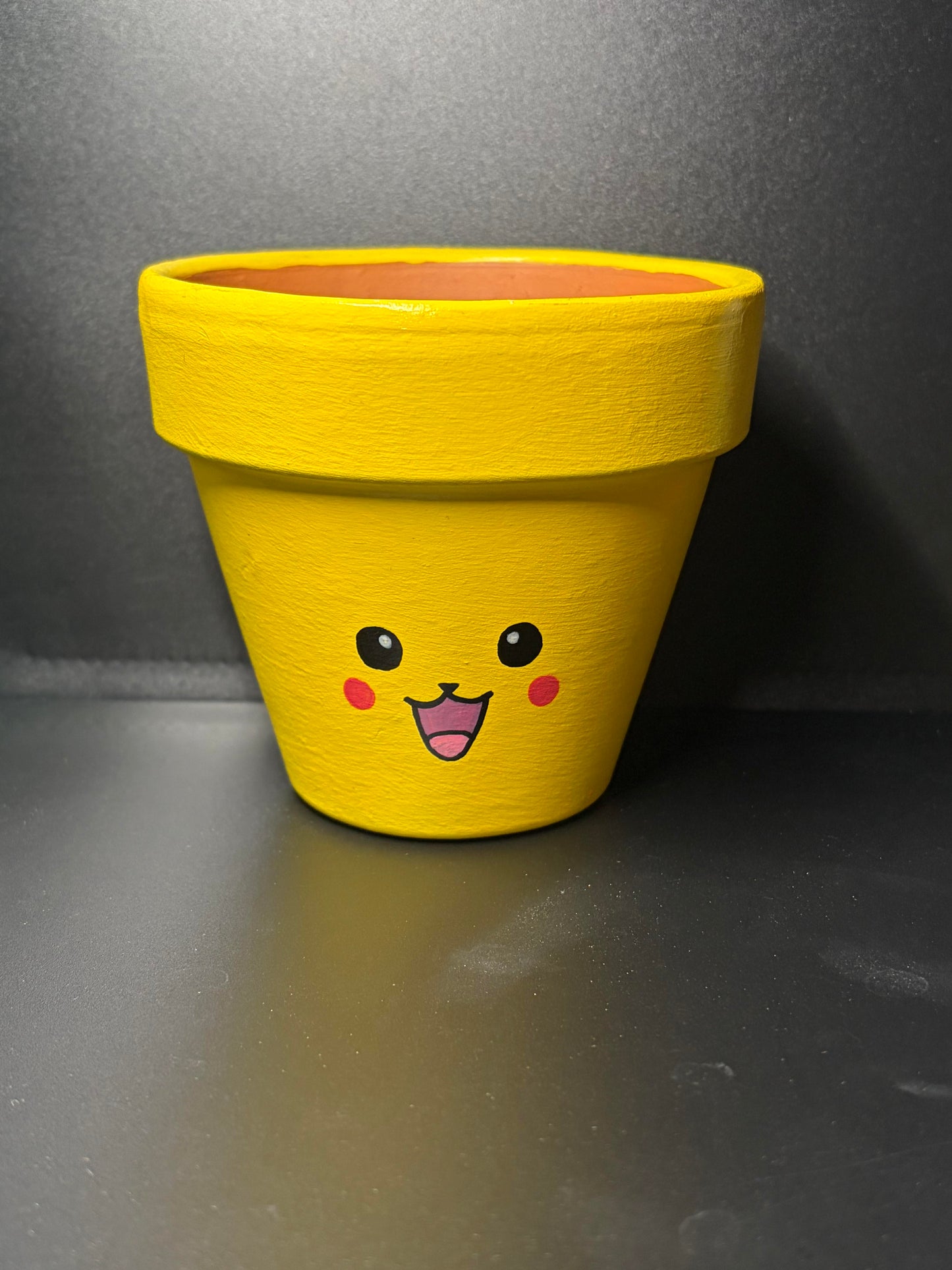 Hand Painted Flower Pots Large