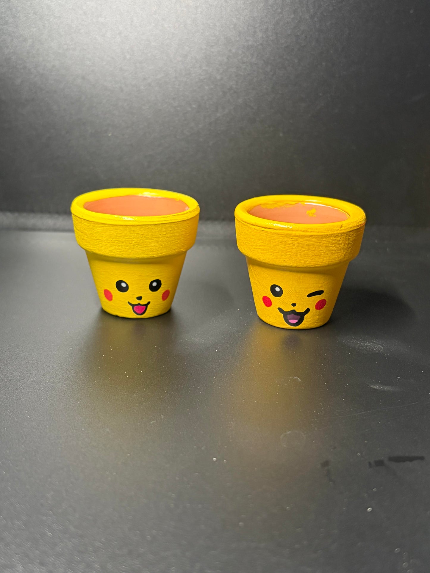 Hand Painted Flower Pots Small