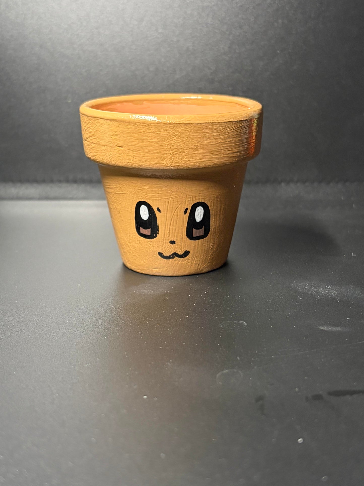 Hand Painted Flower Pots Medium