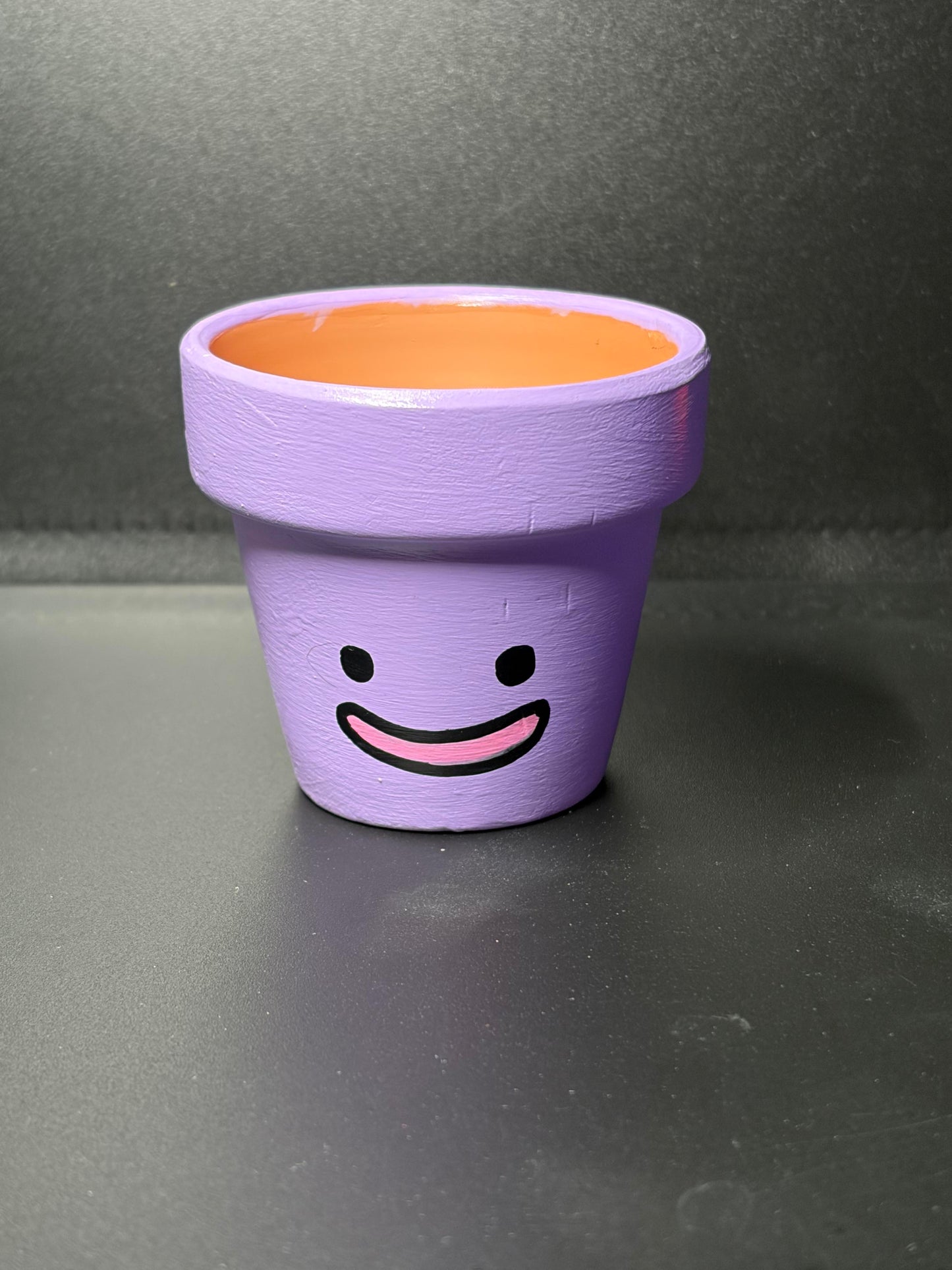 Hand Painted Flower Pots Medium