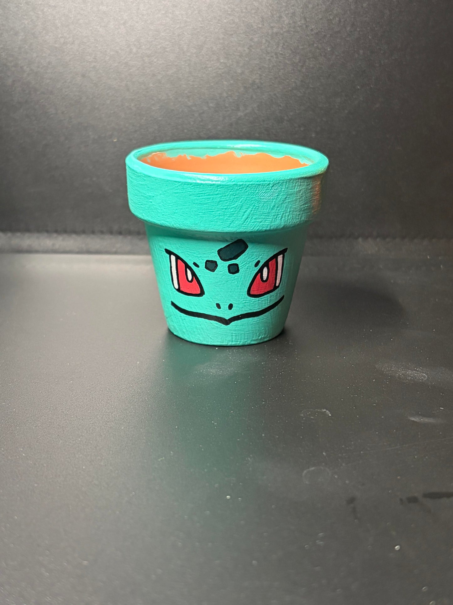 Hand Painted Flower Pots Medium