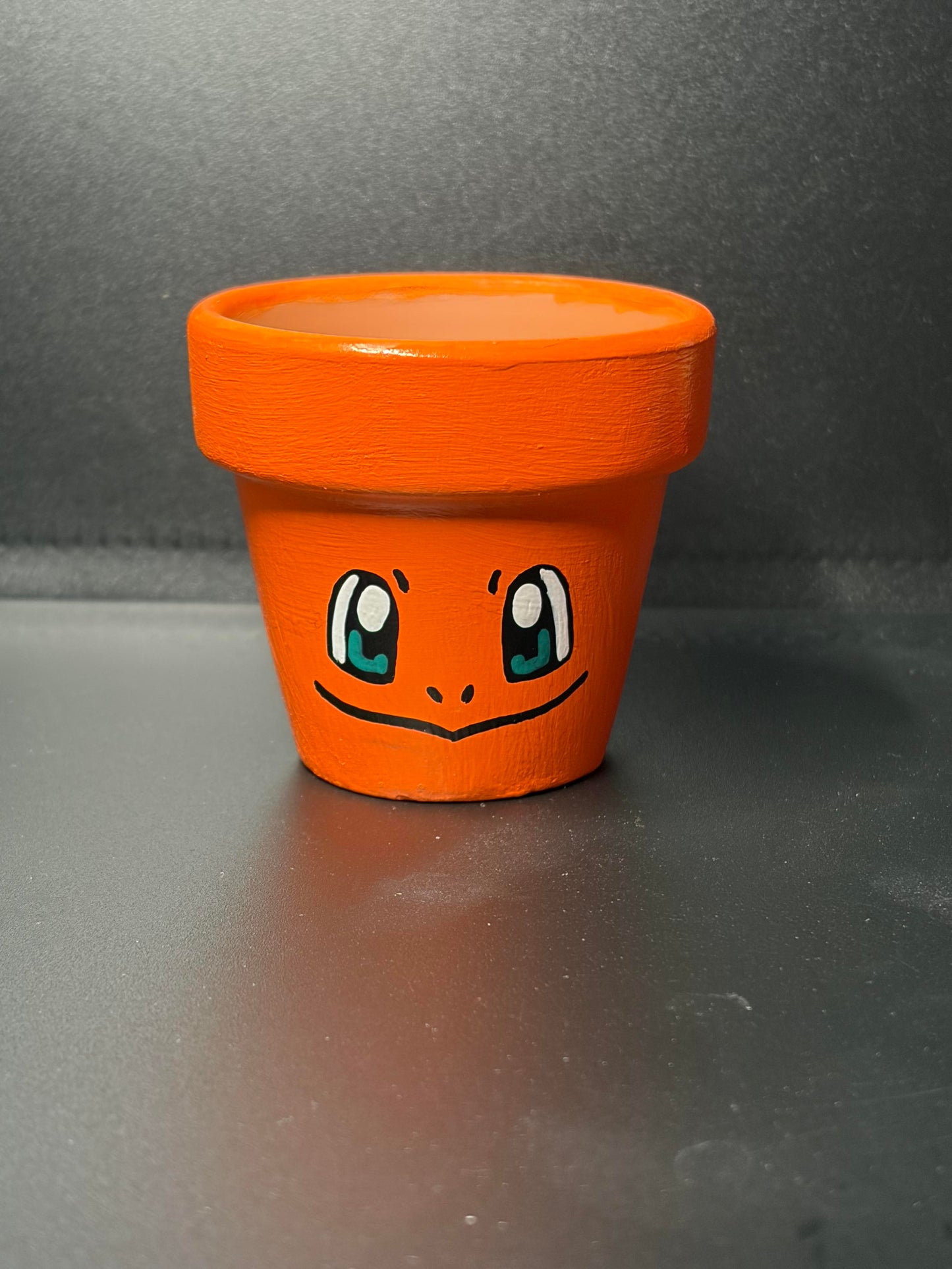 Hand Painted Flower Pots Medium