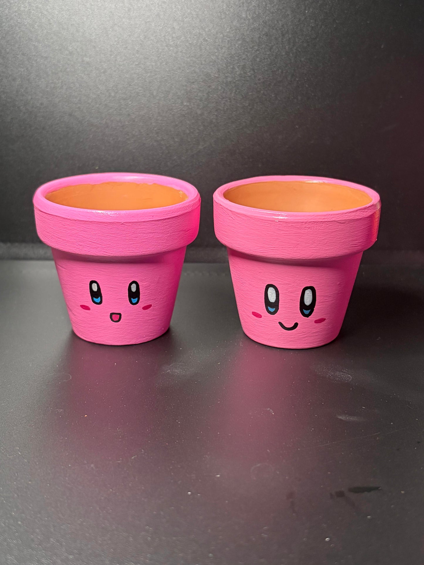 Hand Painted Flower Pots Medium