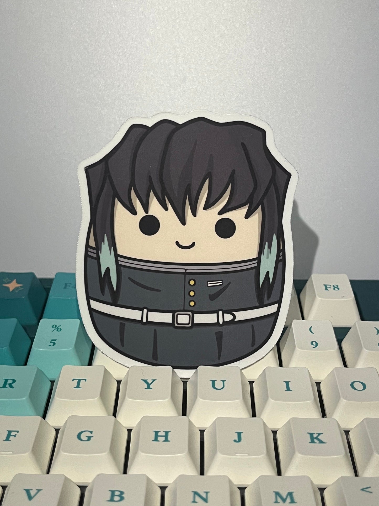 DS Anime Stickers